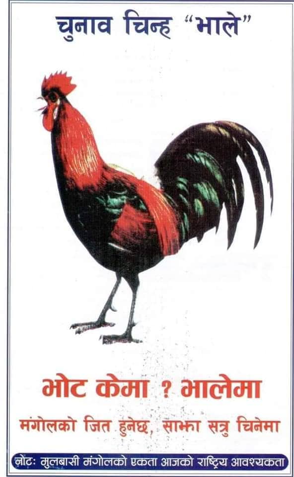 १ प्रतिनिधिसभा, २ प्रदेशसभा सहित ५ स्थानीय निकायमा एमएनओले चुनाव लड्दै